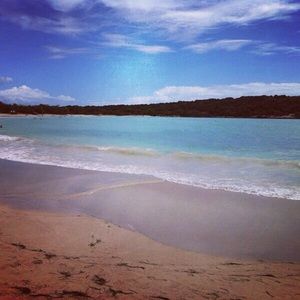 Meet your Posher, Beatriz