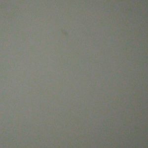 Meet your Posher, Randall