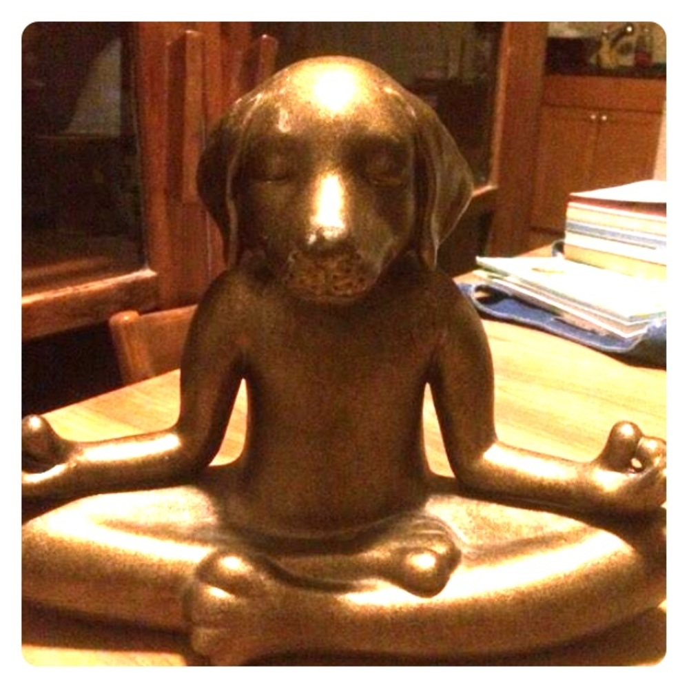 Pierre one yoga dog statue