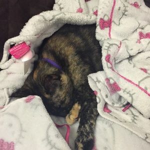 Meet your Posher, Gabby