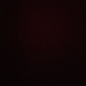 Meet your Posher, Raven