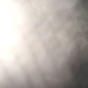 Meet your Posher, Trevor