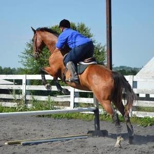 Meet your Posher, Brittany