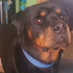 Meet your Posher, Enid