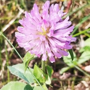 Meet your Posher, Jackalynne