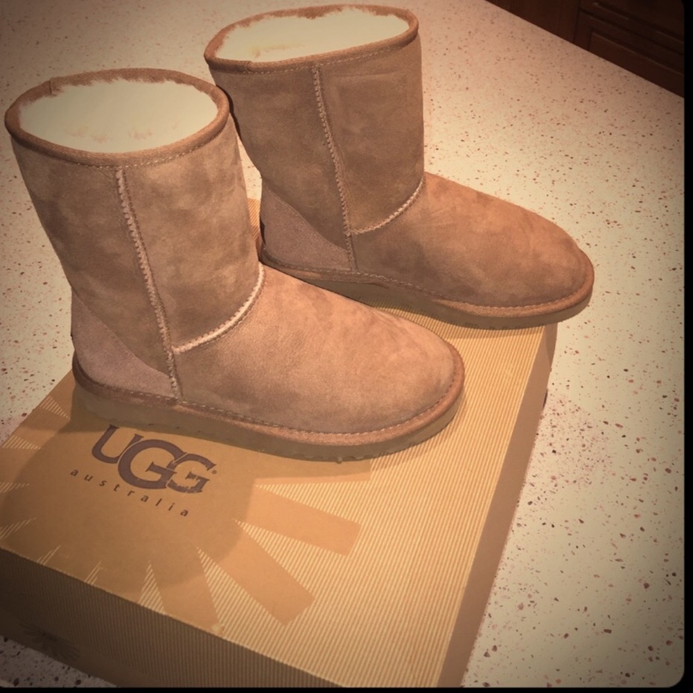 Classic short uggs , chestnut