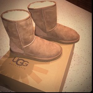 Classic short uggs , chestnut