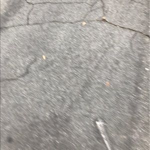 Meet your Posher, Joey