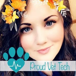 Meet your Posher, Casey