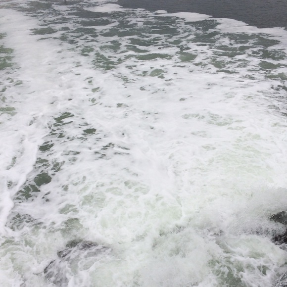 Meet your Posher, Raquel - Picture 1 of 1