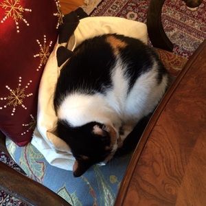 Meet your Posher, Tammy