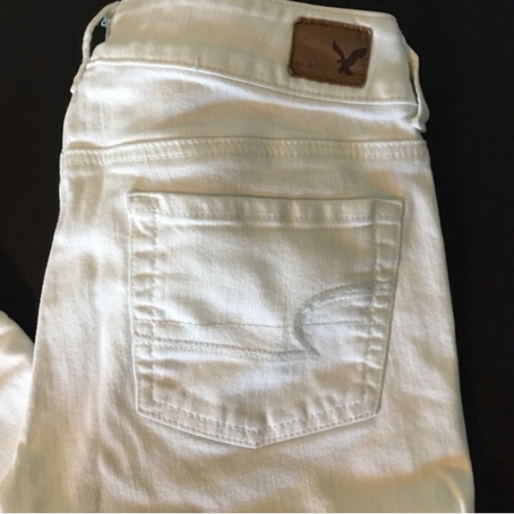 American Eagle Artist Crop Pants