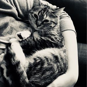 Meet your Posher, Marissa