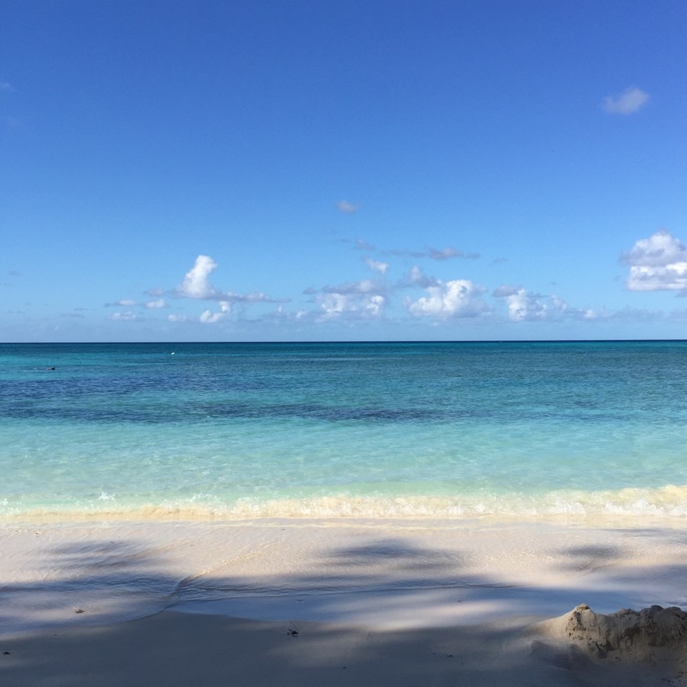 Meet your Posher, Felecia