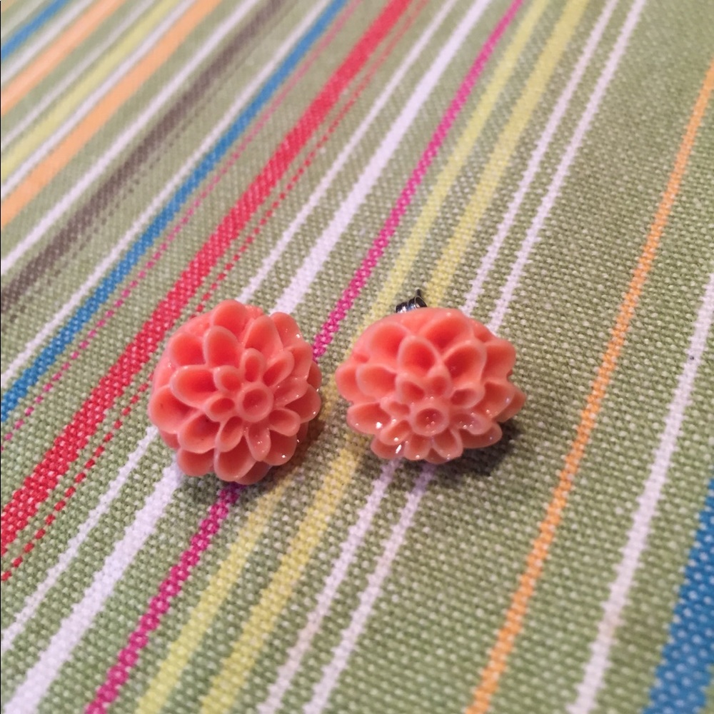 NWOT Earrings