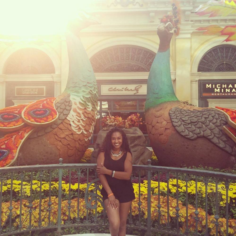 Meet your Posher, Yolonda