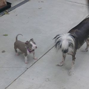 Meet your Posher, Vicky