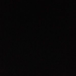 Meet your Posher, Tylee