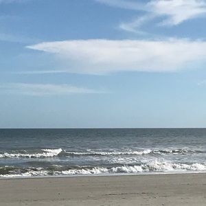 Meet your Posher, Casey