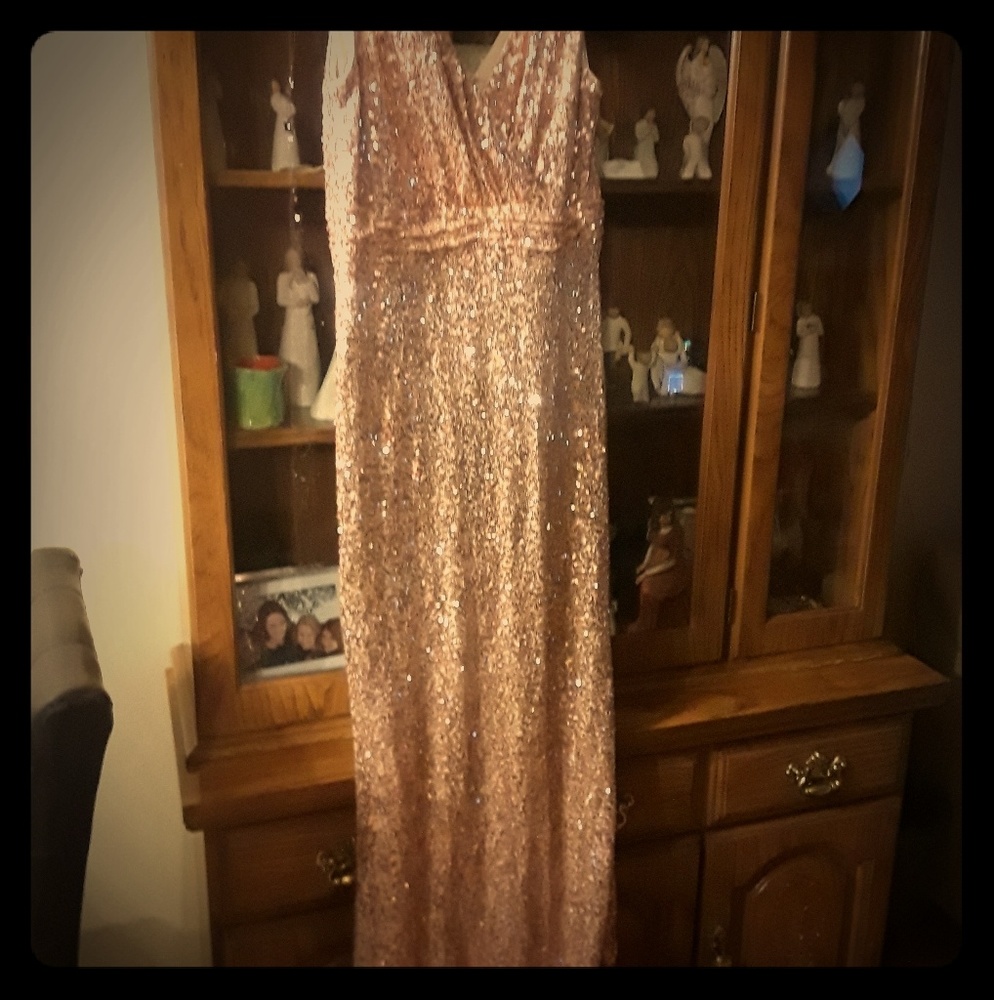 Carmen gown rose gold sz 10