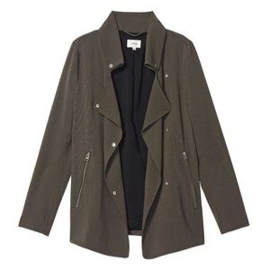 Aritzia Wilfred Moto Trench