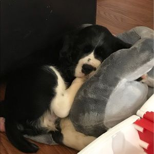 Meet your Posher, Christy