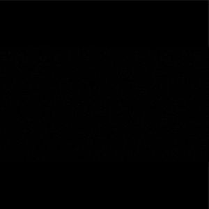 Meet your Posher, Roy