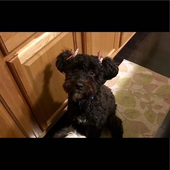 Meet your Posher, Marci - Picture 1 of 1