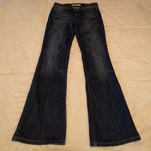 Joe's Jeans provocateur size 26