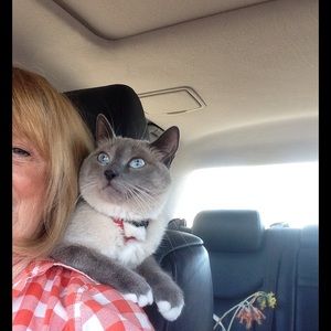 Meet your Posher, Jennie