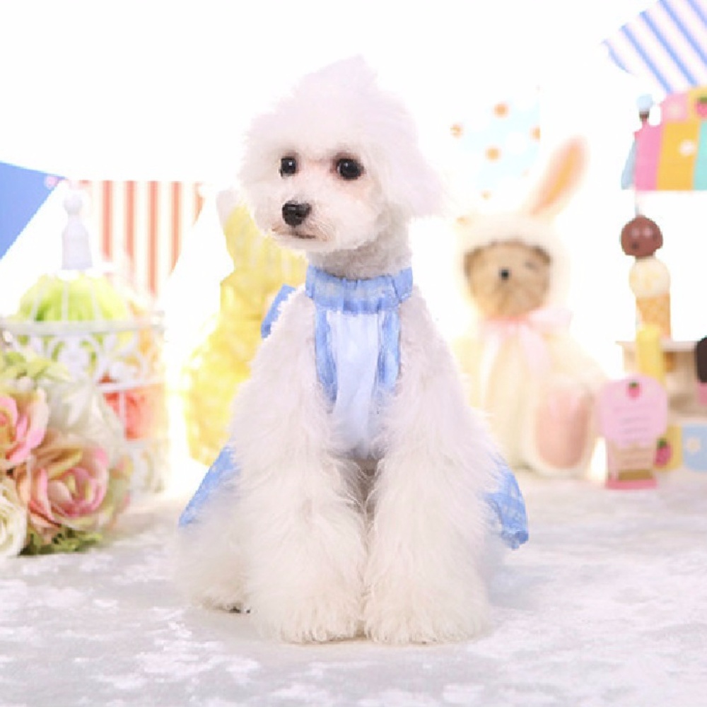 Super Cute Blue dress for small breed cat/doggie - Picture 3 of 7