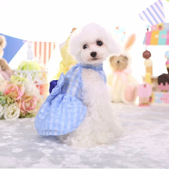 Super Cute Blue dress for small breed cat/doggie - Picture 2 of 7