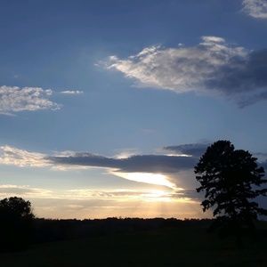 Meet your Posher, Roger