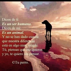 Meet your Posher, Lorena