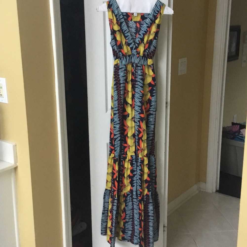 Gorgeous Cabi Maxi Boho Fruit Dress