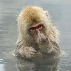 Meet your Posher, Mark