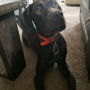 Meet your Posher, Kevin