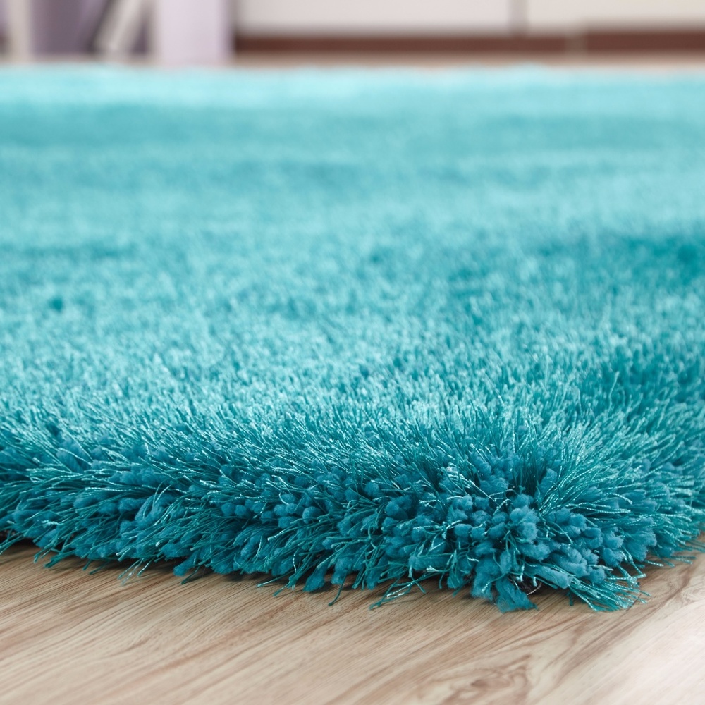 Turquosie Shag Rug