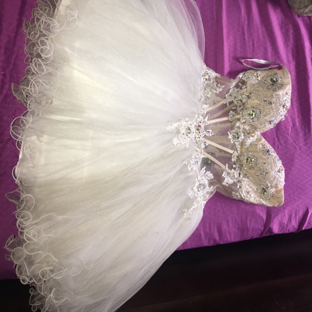 Terani couture prom dress