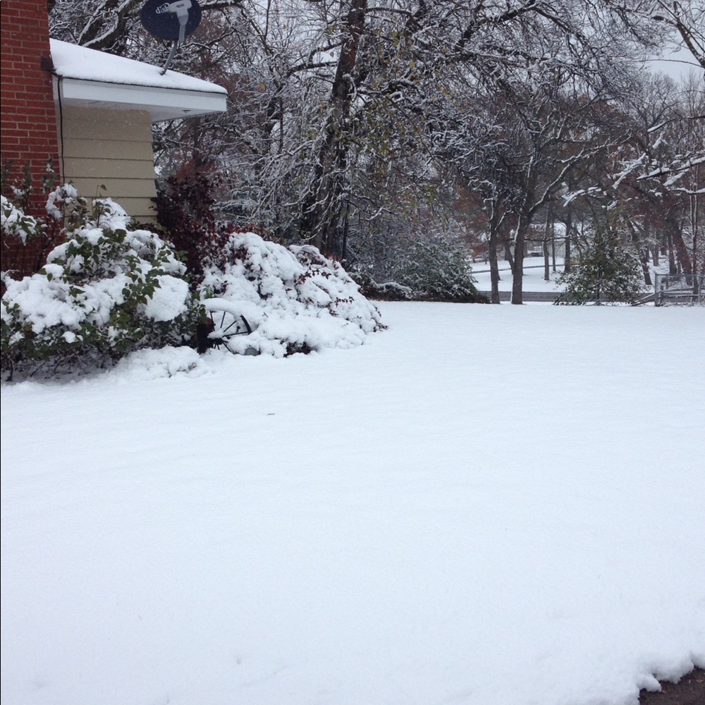 Meet your Posher, Nancy