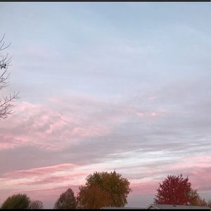 Meet your Posher, Cara