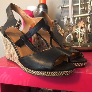Torrid small wedges