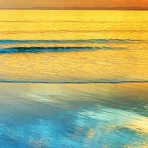 Meet your Posher, Charlotte