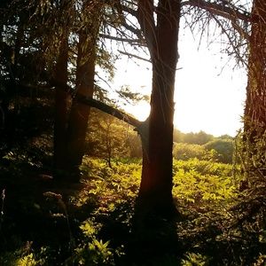 Meet your Posher, Destiny