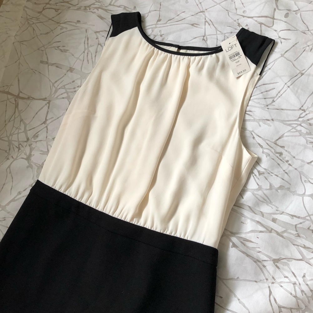 Loft Black and Cream Dress