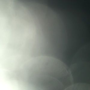 Meet your Posher, Johnnie