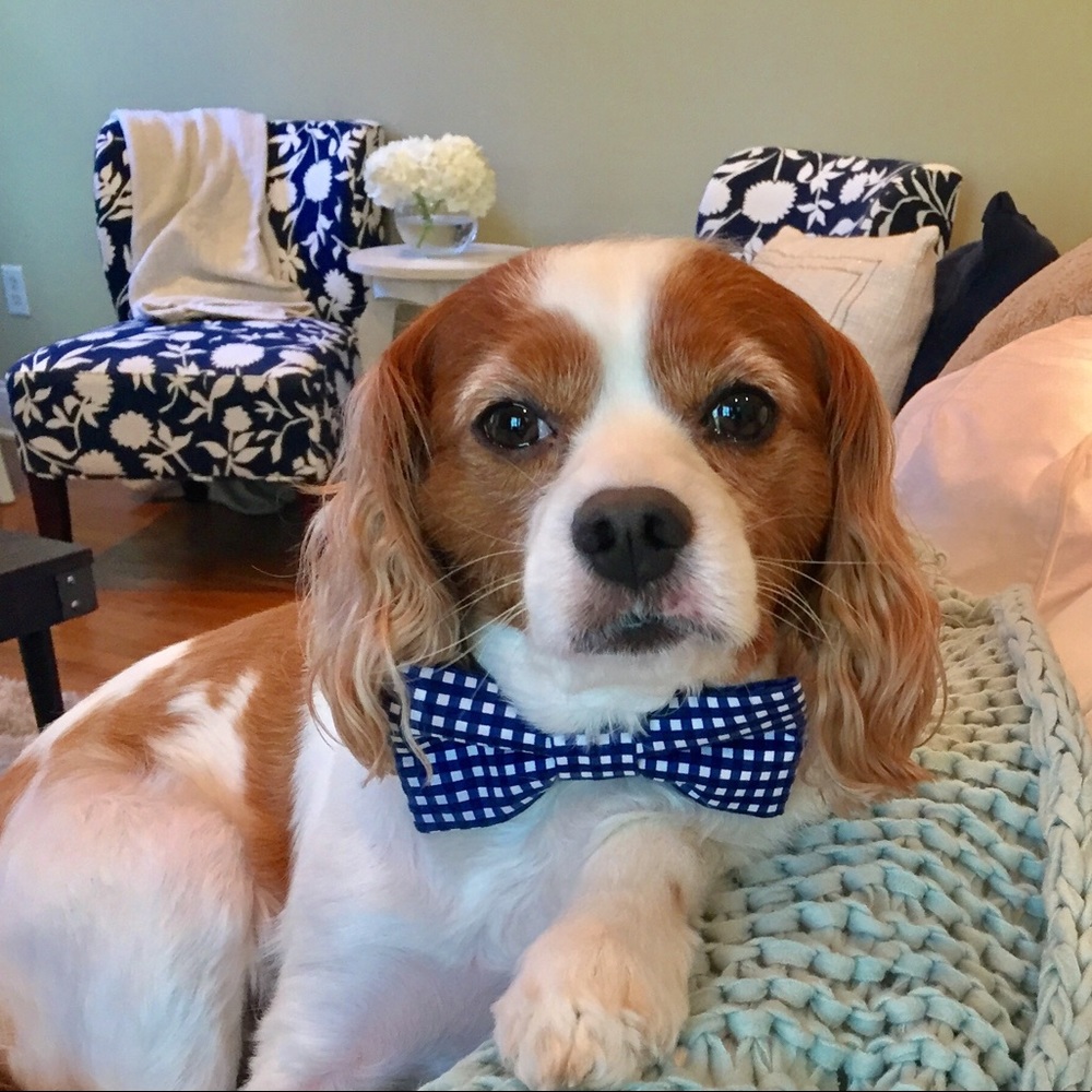 Meet your Posher, Heather