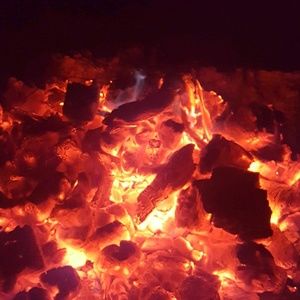 Meet your Posher, Barbra