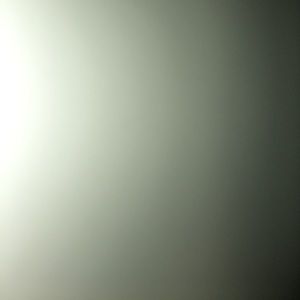 Meet your Posher, Bryce