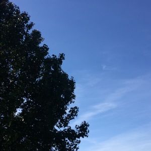 Meet your Posher, Annabelle